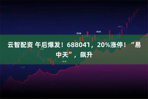 云智配资 午后爆发！688041，20%涨停！“易中天”，飙升